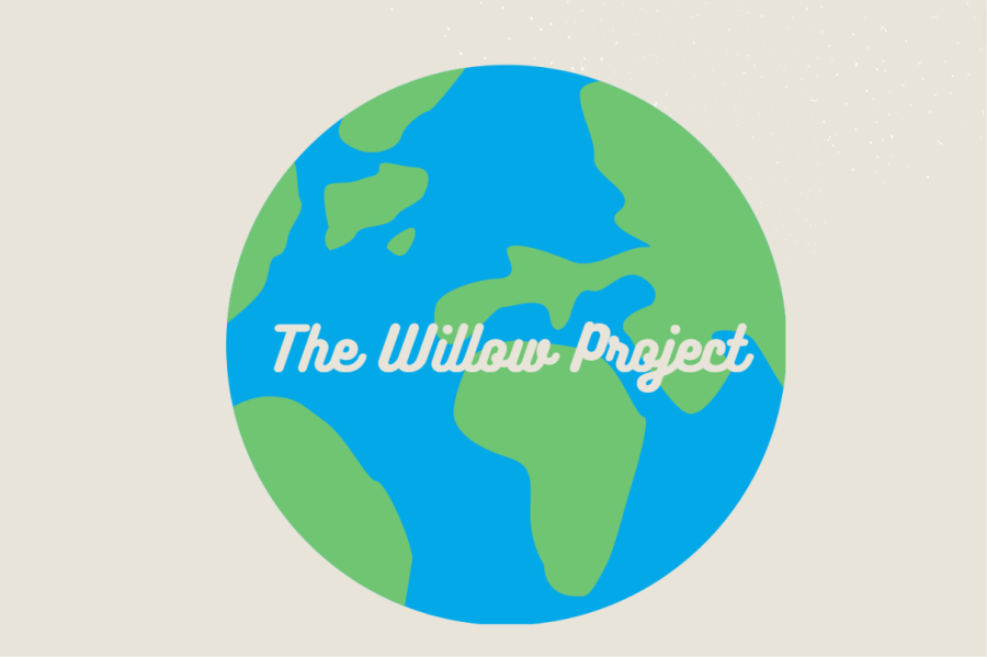 The Willow Project Explained