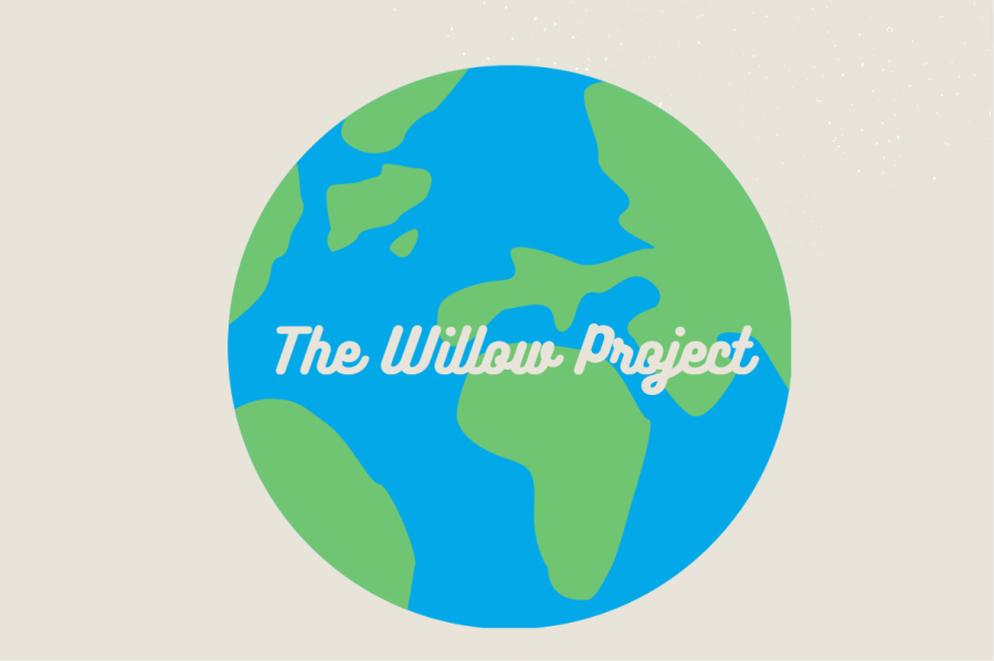 the willow project presentation